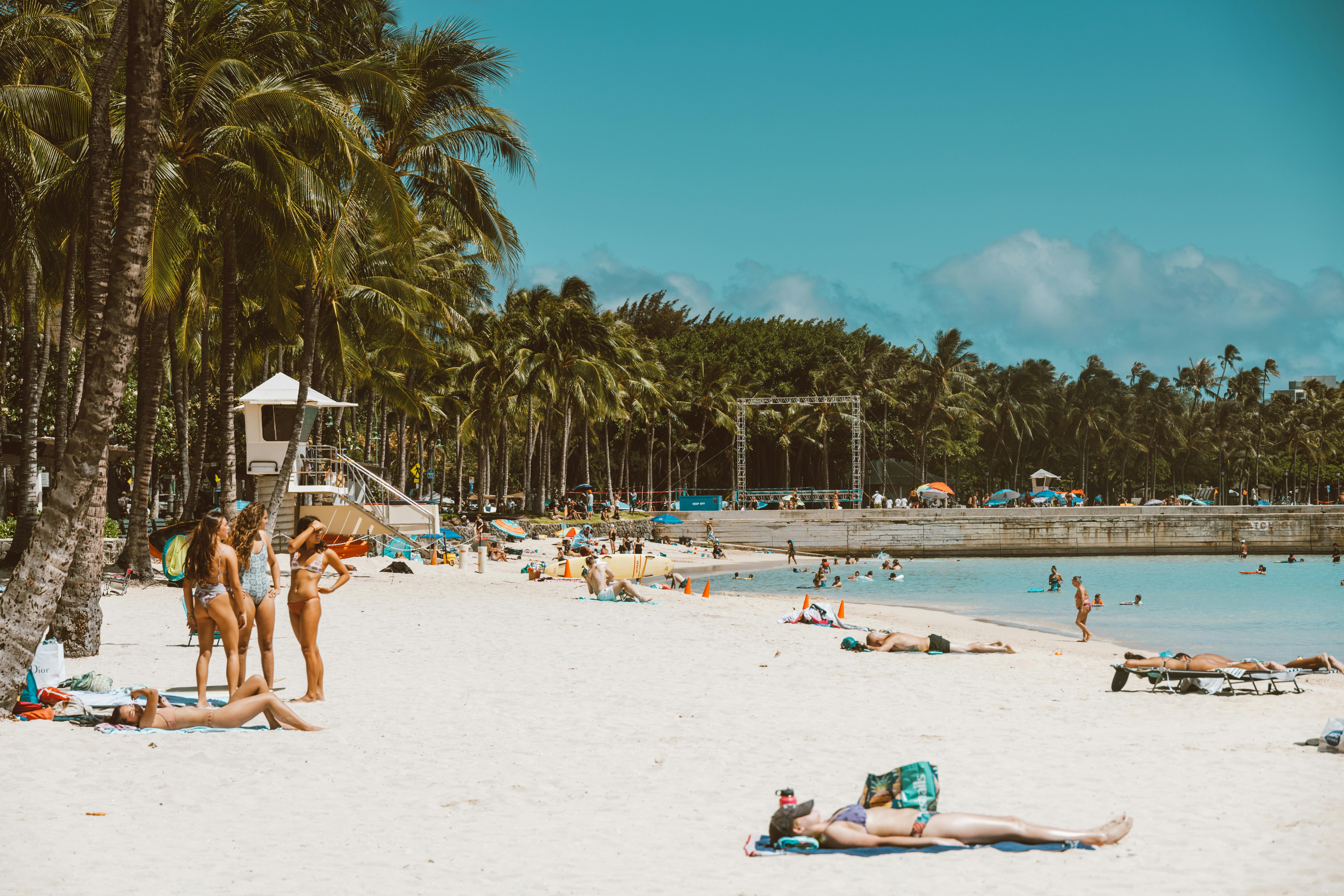 Crowds of people relaxing on the beach next to palm trees.