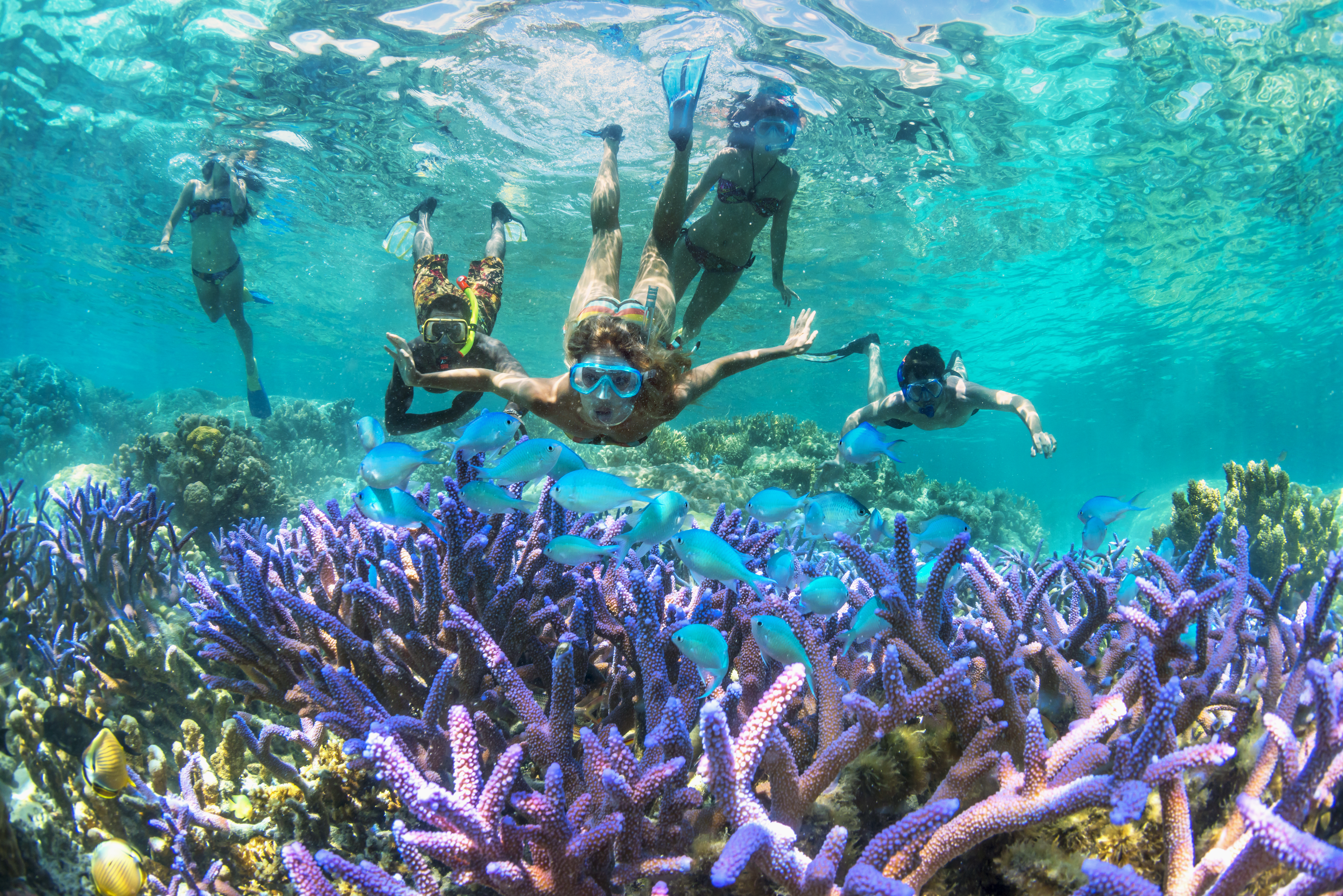 Snorkel the largest lagoon in the world