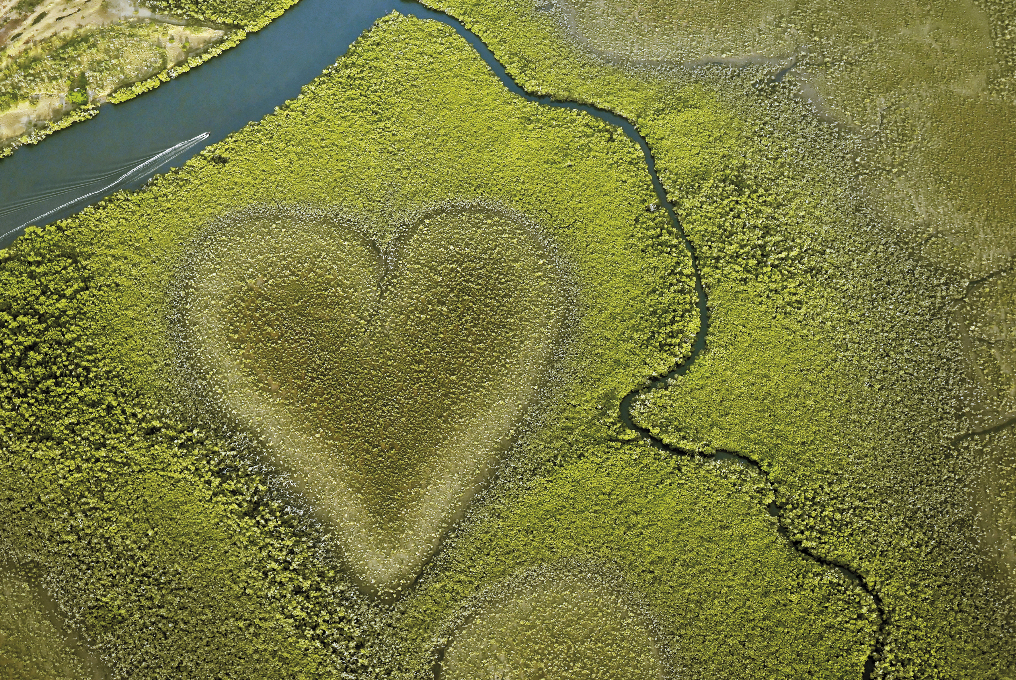 See the famous Heart of Voh from above.