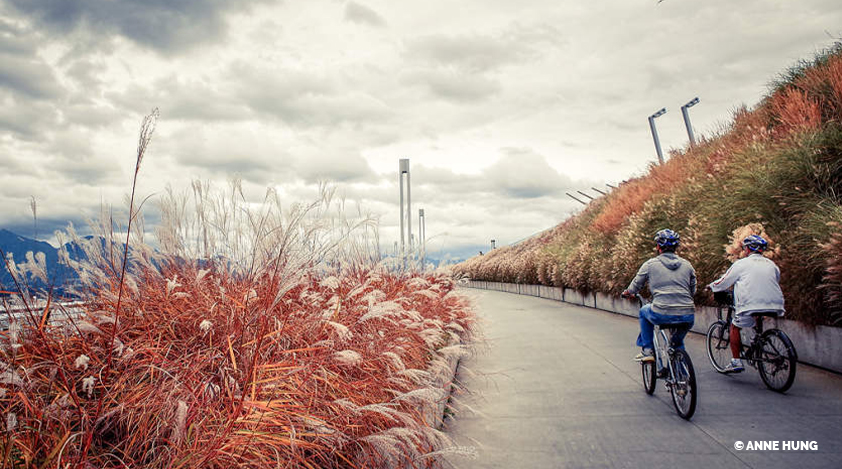 Vancouver: Five Great Bike Rides 