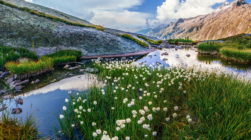 Switzerland