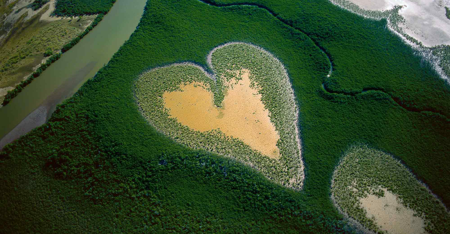Heart of Voh
