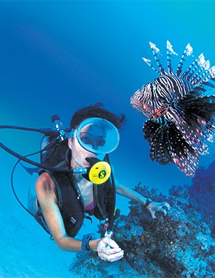 A truly idyllic place for scuba divers