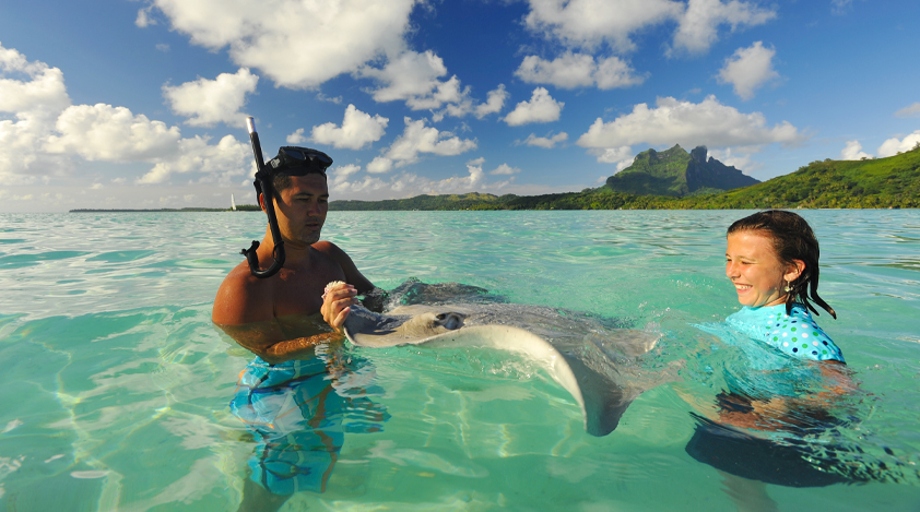 Exciting encounter with a stingray