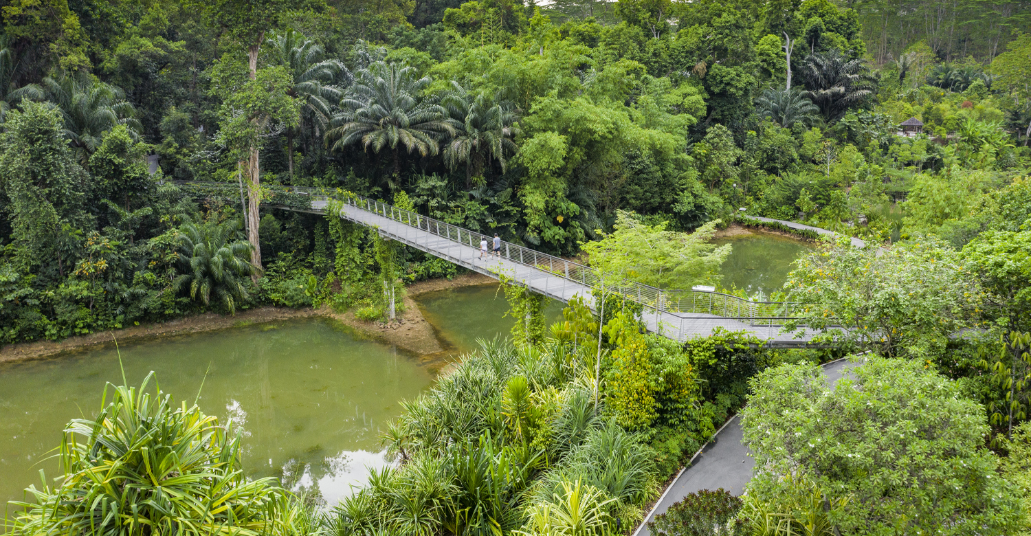 Singapore Botanic Gardens | Credit: Singapore Tourism Board