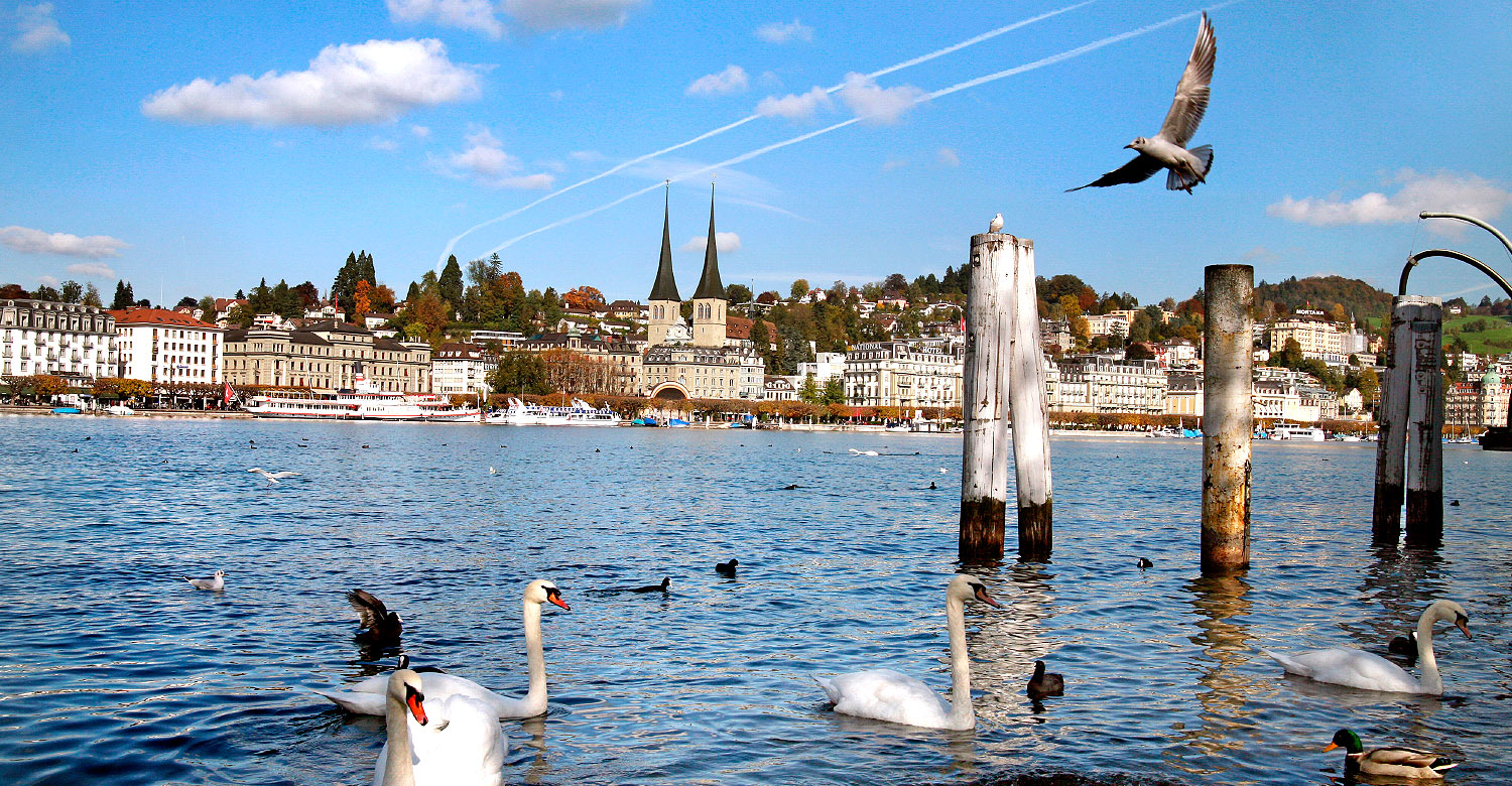Lucerne 