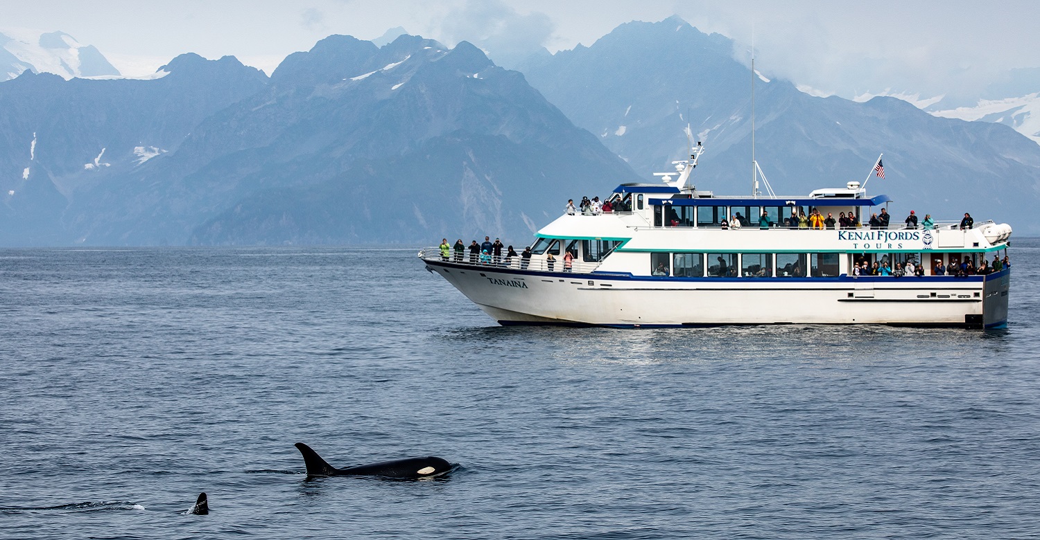 Kenai Fjords Cruise | Credit: Pursuit