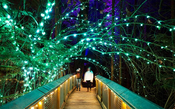 Canyon Lights at Capilano Suspension Bridge