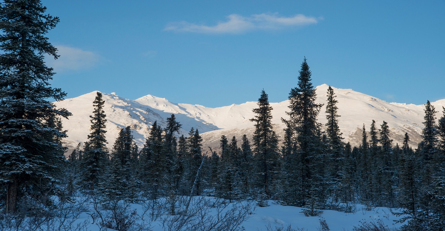 Fairbanks | Credit: All Alaska Tours