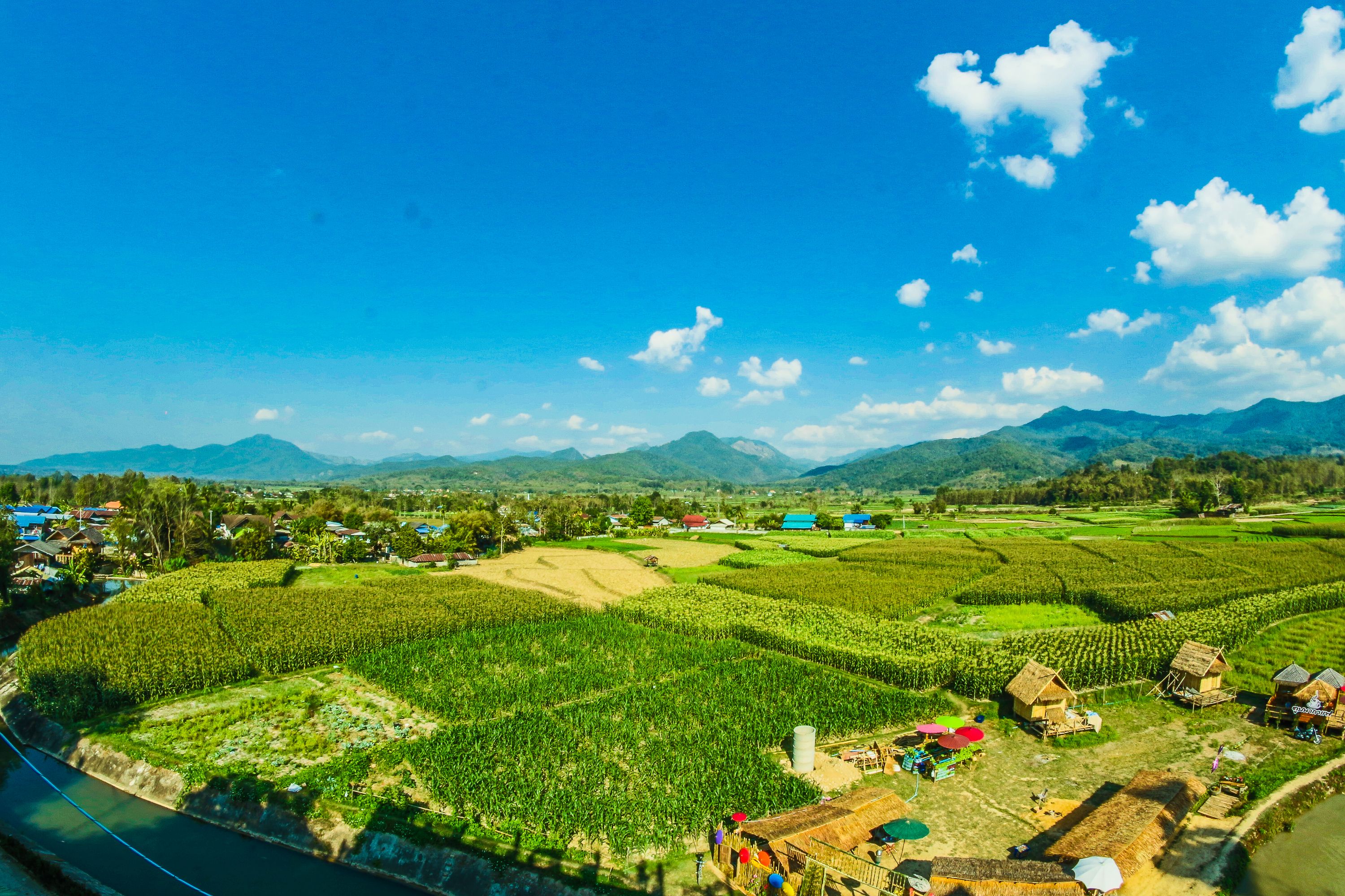 Traditional houses sit quietly beside golden rice fields under wide blue skies