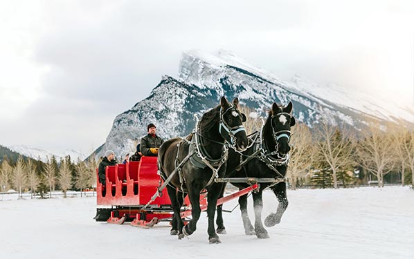 Sleigh Rides in Lake Louise & Banff