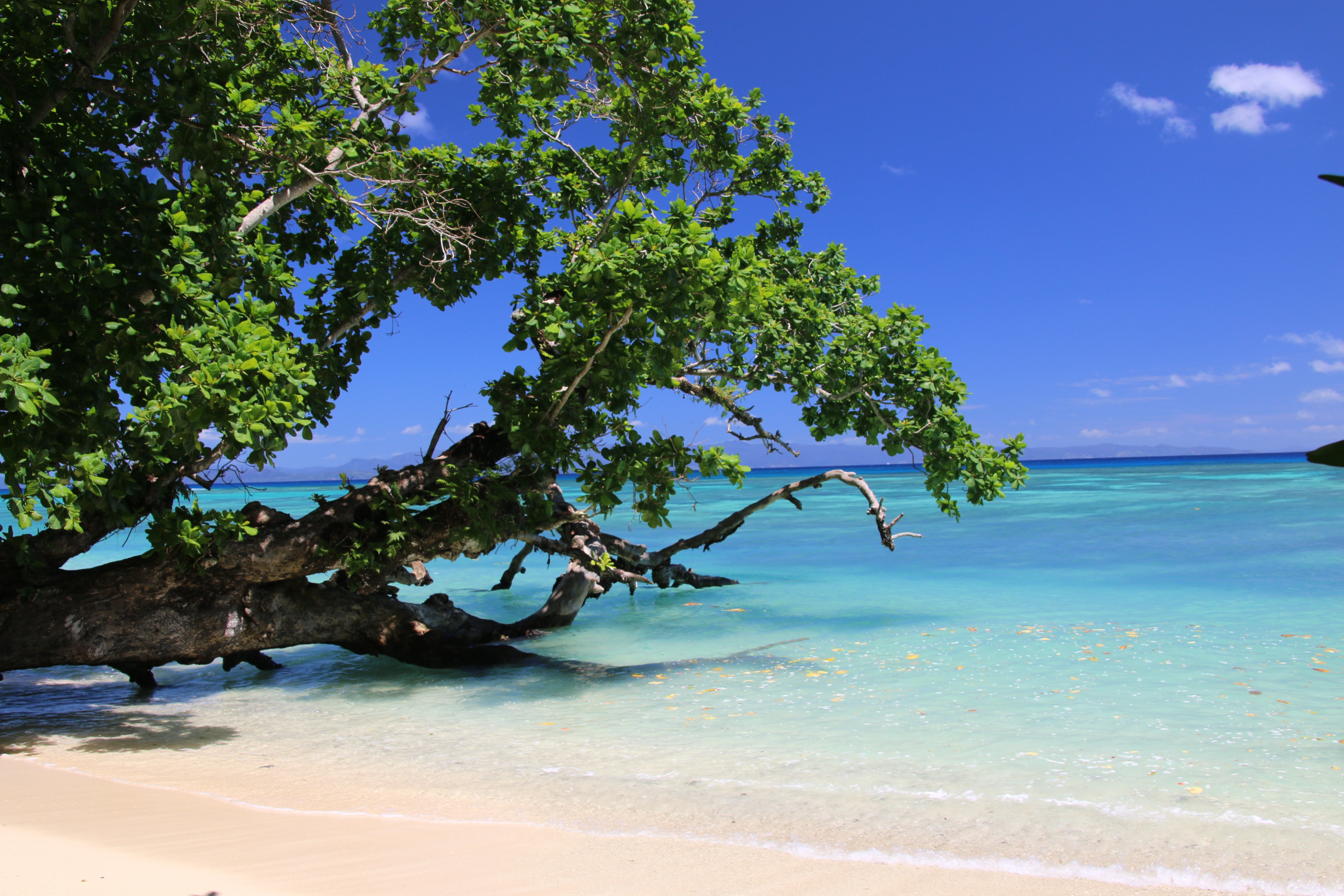 Northern Islands