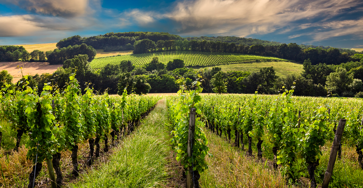 Bordeaux & Southwest France