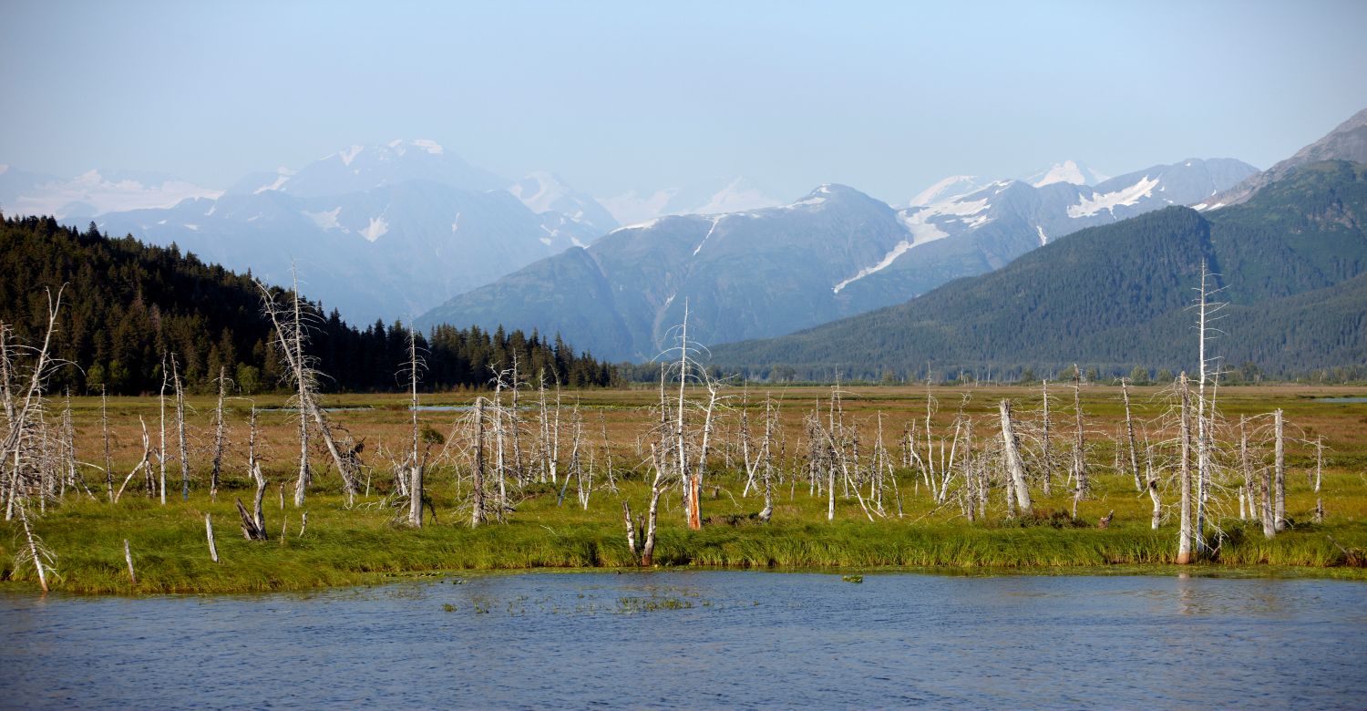 Turnagain Arm | Credit: Travel Alaska / Chris McLennan