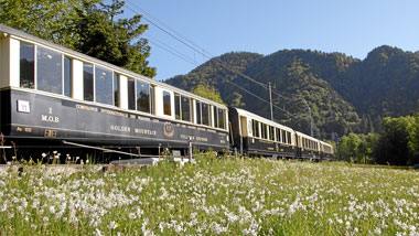 Golden Pass