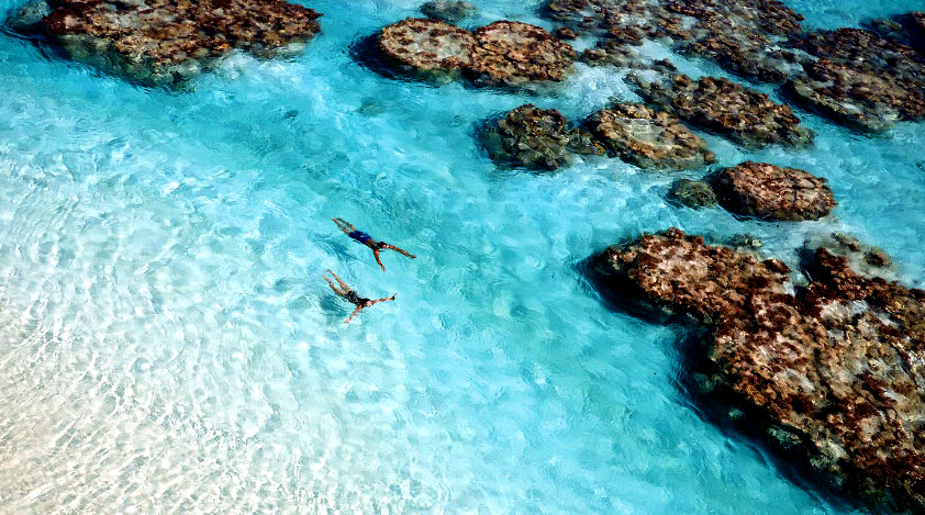 Enjoy secluded luxury at the Brando, an upscale paradise in the midst of pristine nature.
