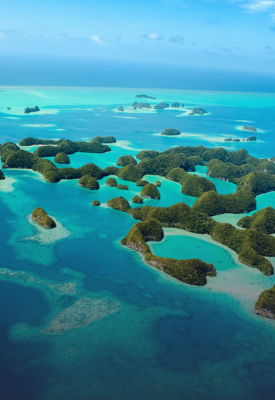 Vibrant coral reefs and marine life