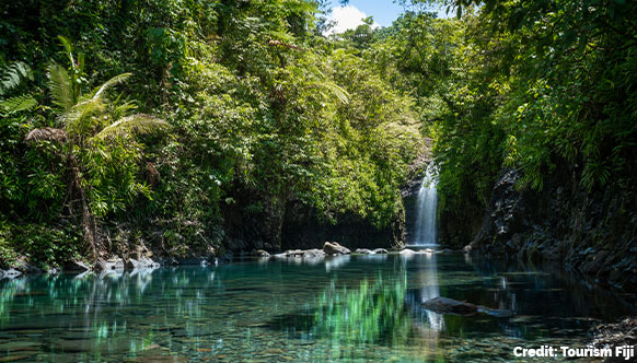 Jungles and Waterfalls