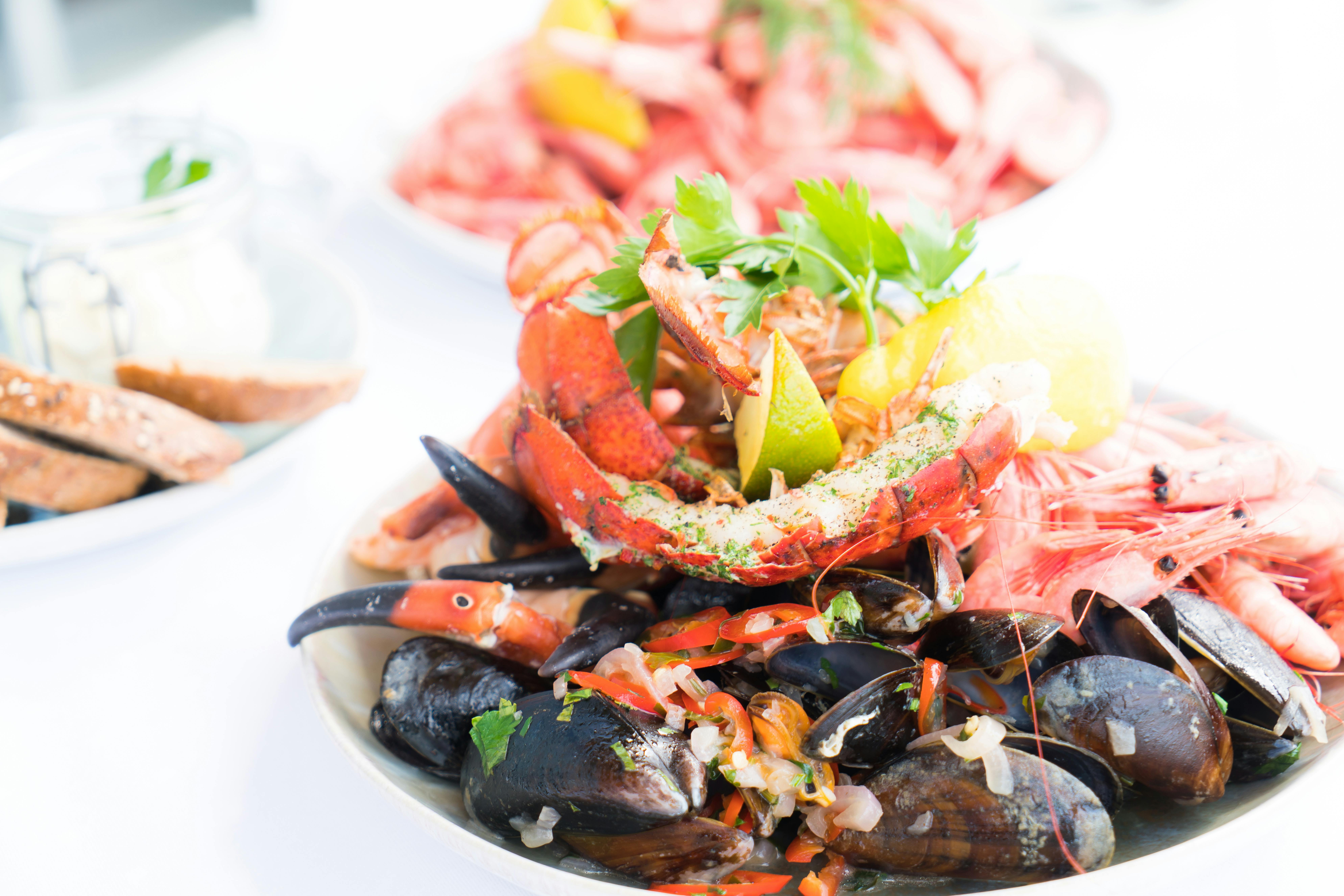 A plate of fresh shrimp and mussels topped with lime and green garnish