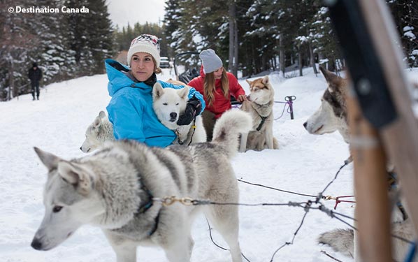 Dogsledding Adventures