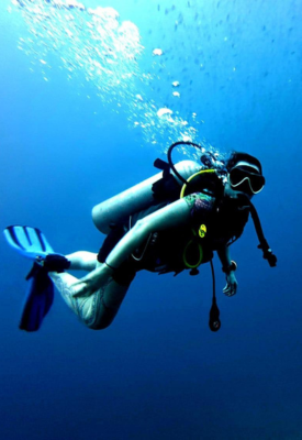 Snorkel vibrant reefs and wrecks