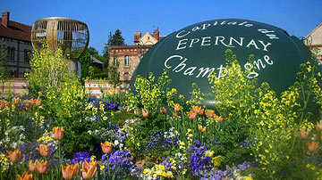 Explore the Champagne houses in Epernay