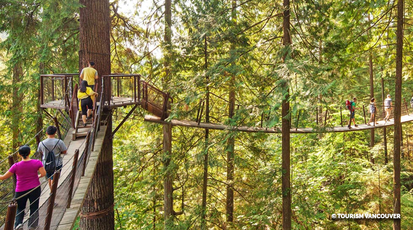 Treetops Adventure at Capilano Suspension Bridge
