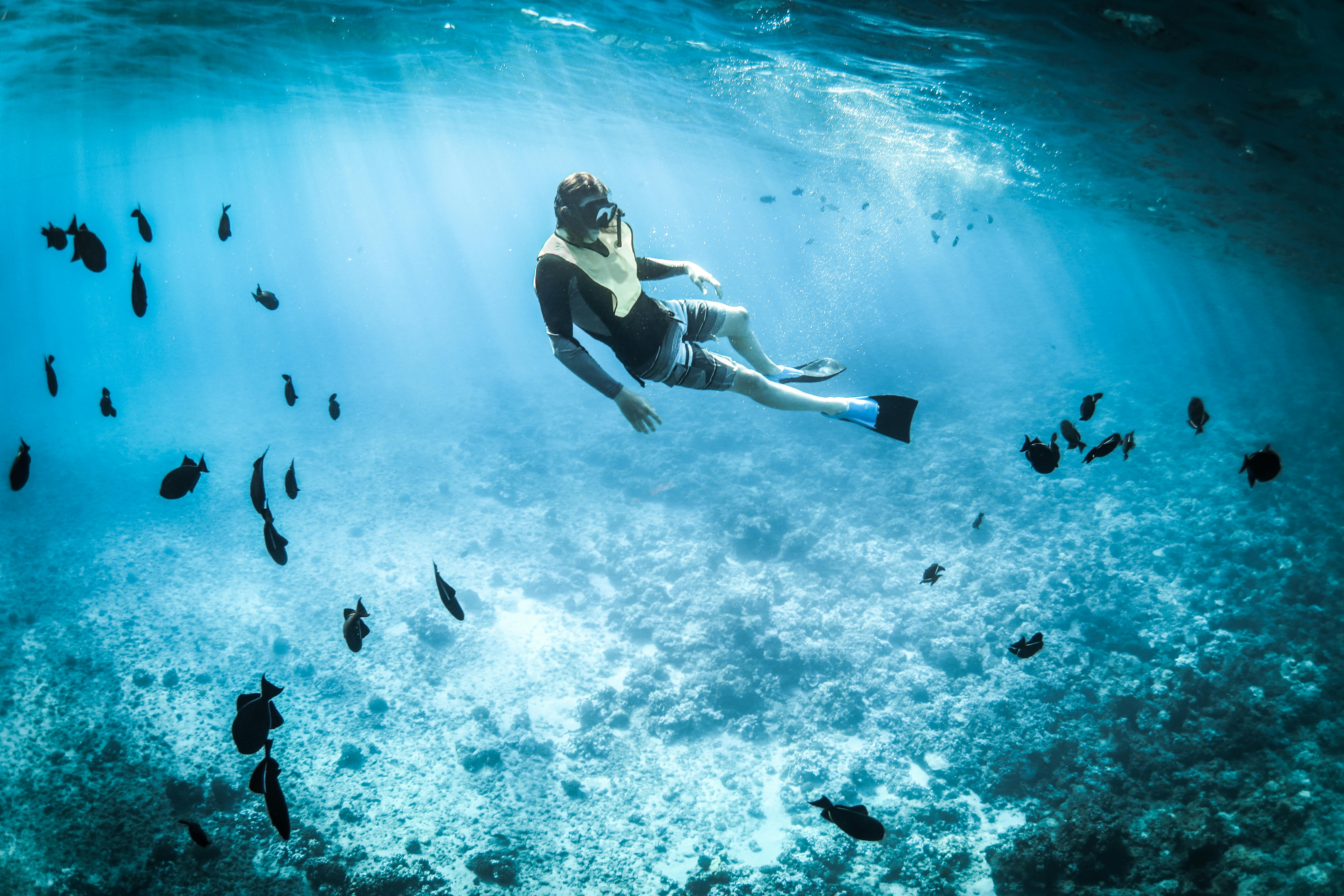 A man snorkelling in vibrant blue waters with corals and fish all around him.