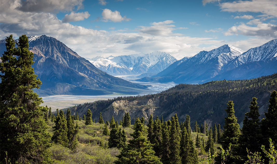 Kluane National Park and National Reserve