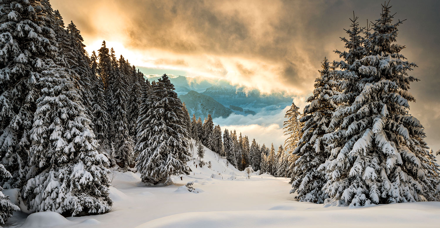 Mount Rigi