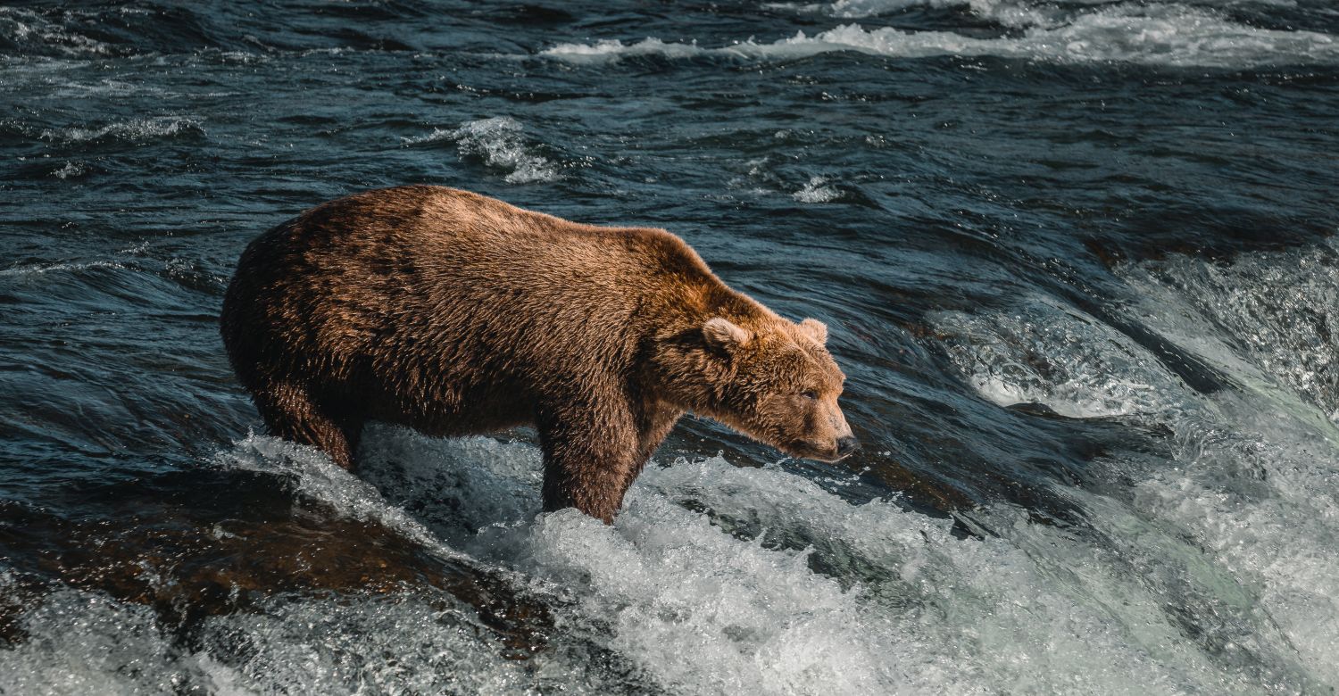 Brooks Lodge | Credit: Travel Alaska