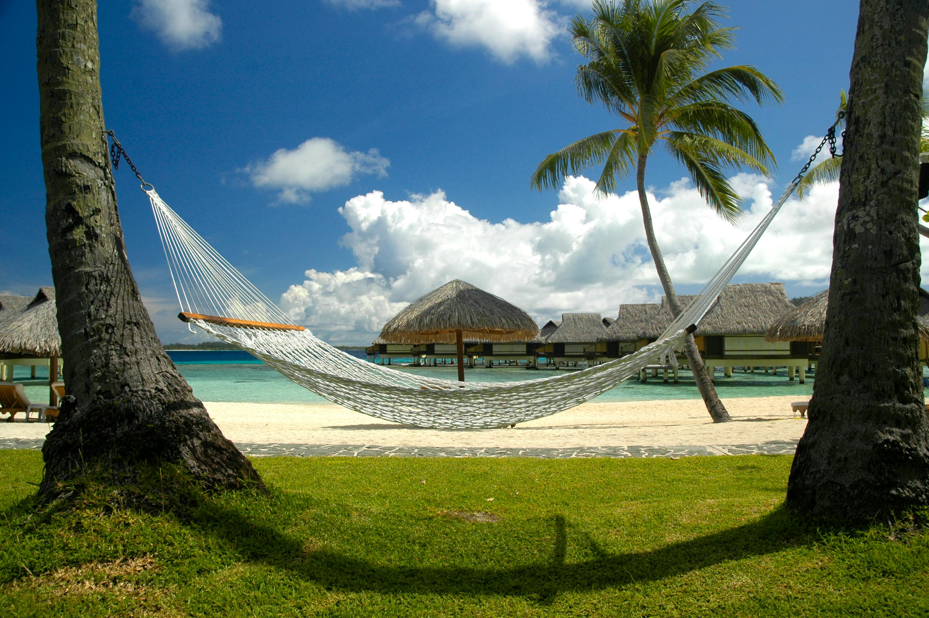 A white hammock on a beach