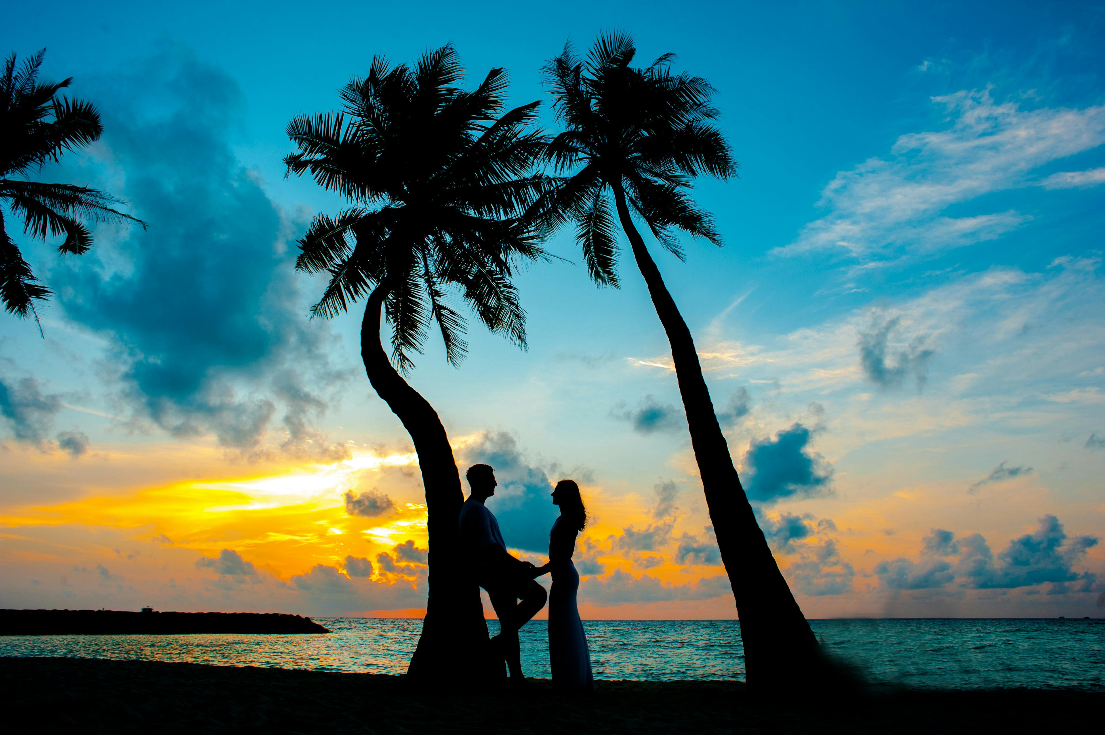 A romantic silhouette of a couple standing beneath palm trees in the Maldives at sunset