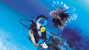 A truly idyllic place for scuba divers