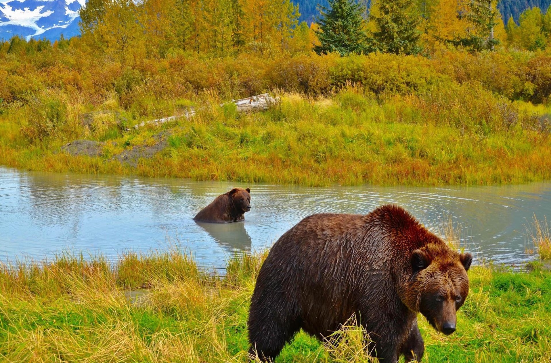 Alaska