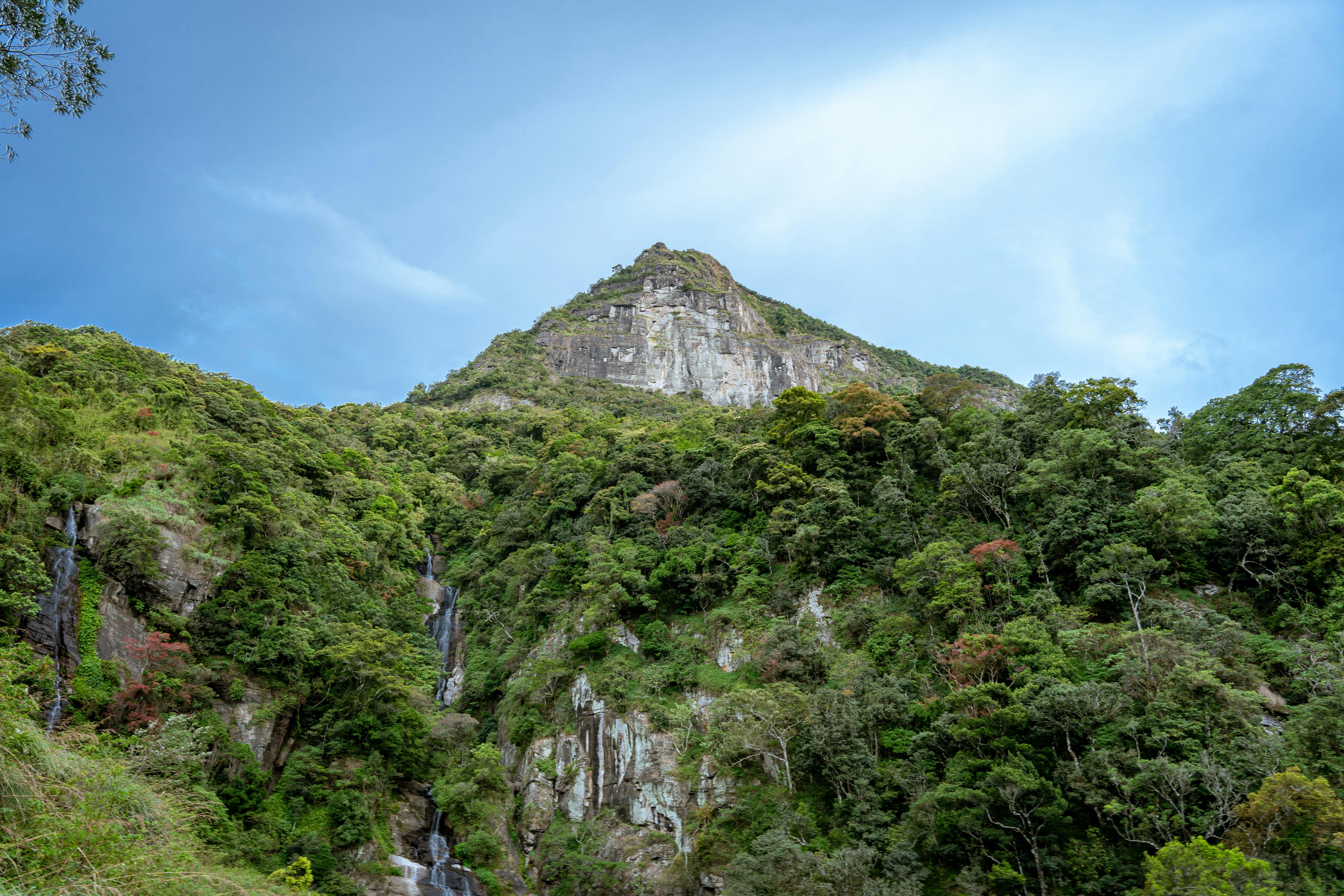 A steep, rocky mountain covered in lush greenery