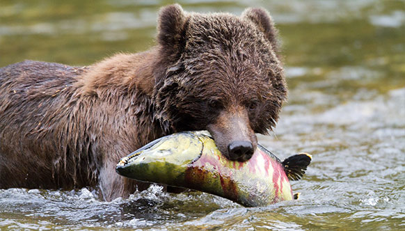 Canada’s most famous residents