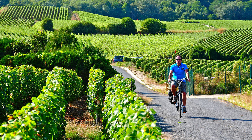 Cycle along the beautiful vineyards in Champagne