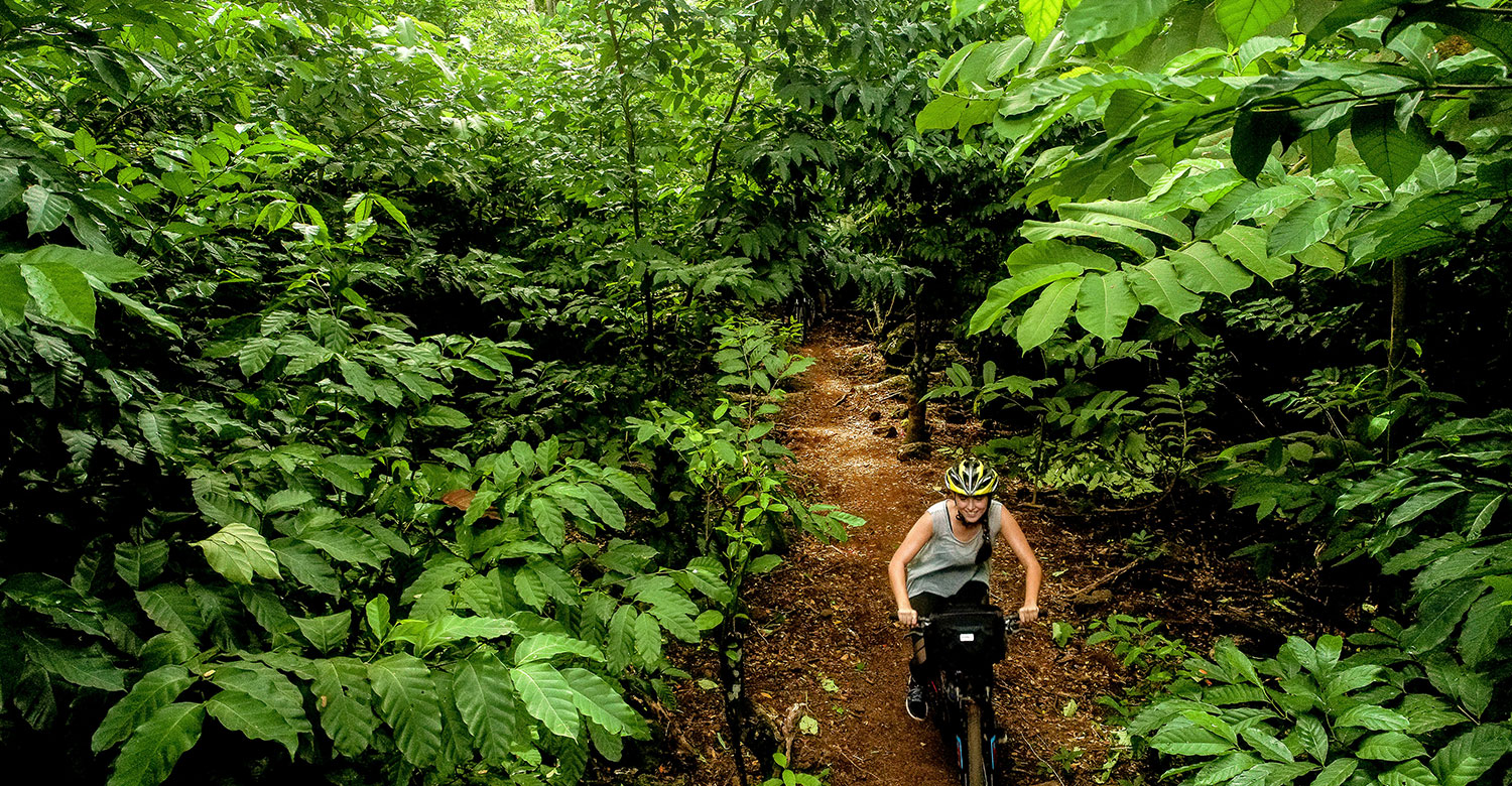 Mountain bike in Mulifanua | Image credit Samoa Tourism
