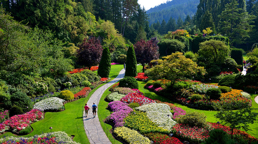 Explore the Butchart Gardens in Victoria