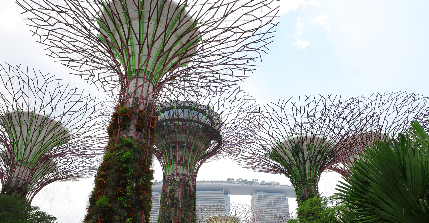 Gardens by the Bay | Credit: Singapore Tourism Board