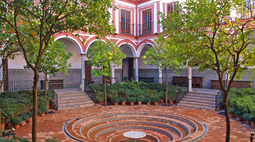 Bitter orange trees in Seville