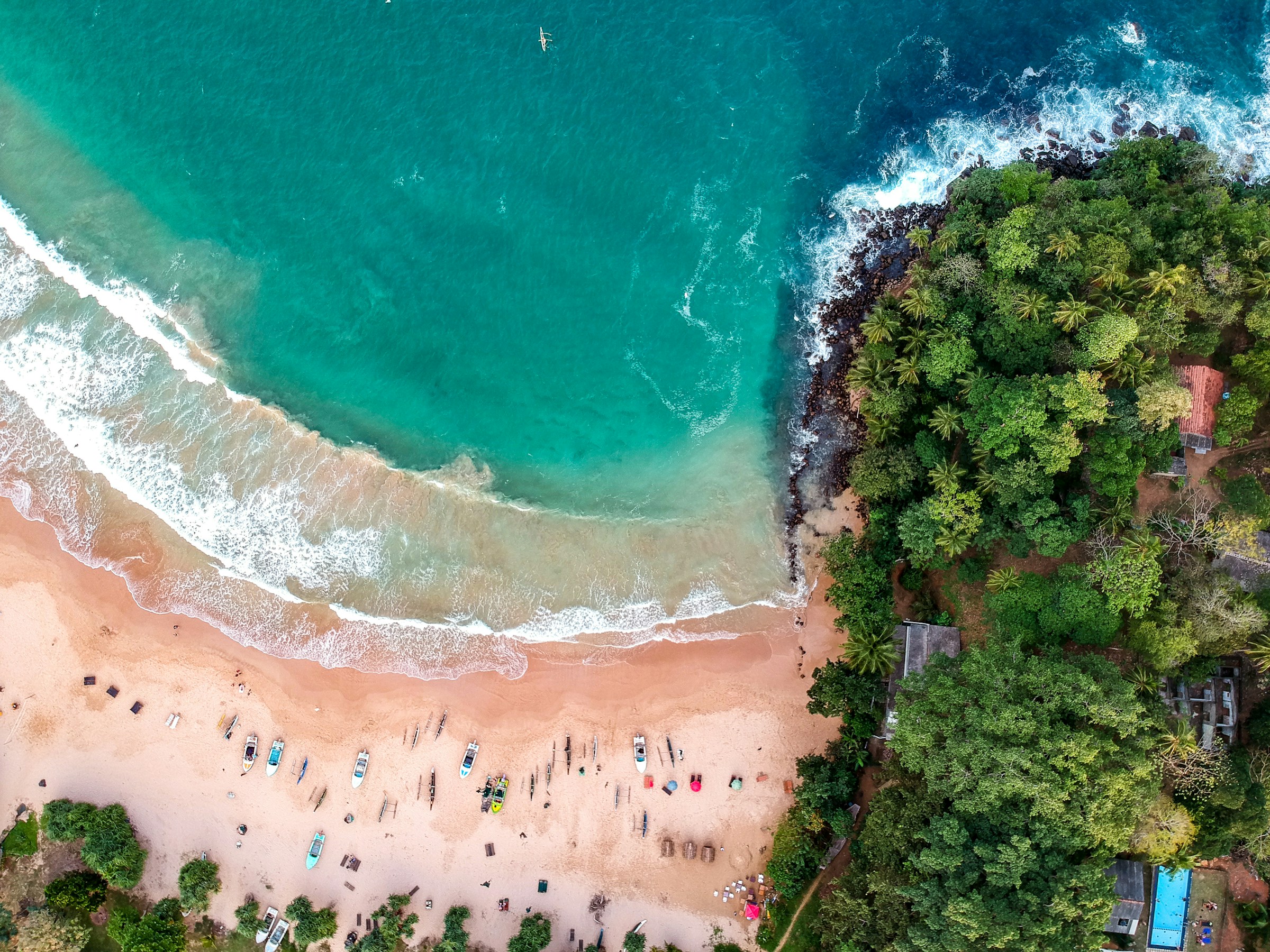 green-leafed trees and a beach shore next to a body of water