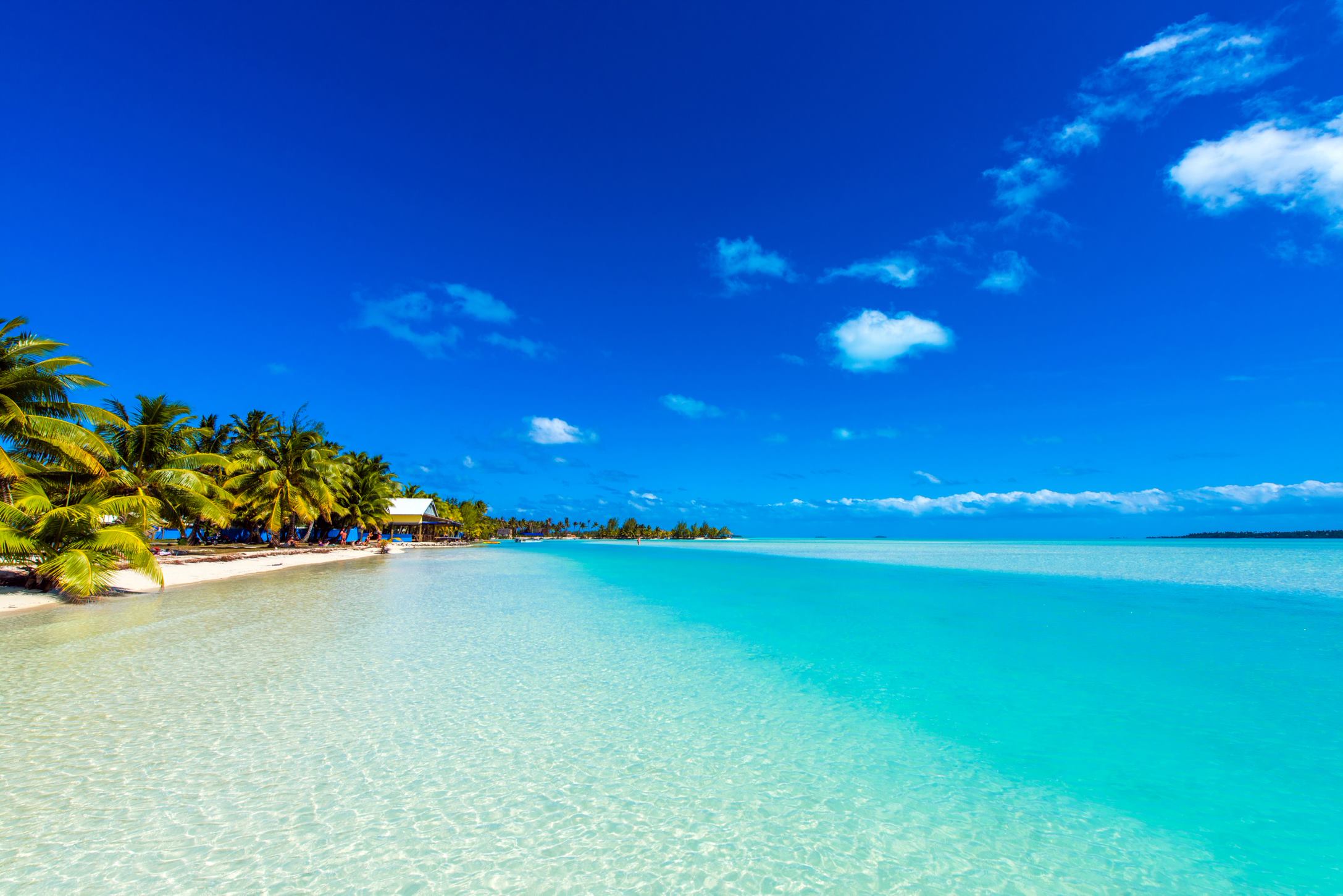 sun-soaked white sand beach in the Cook Islands