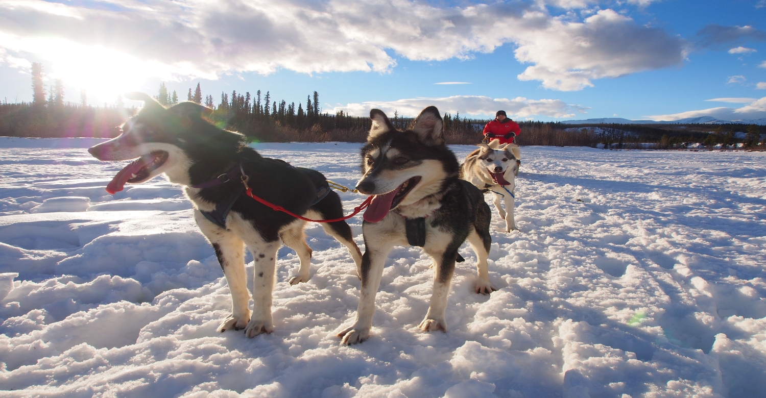 Whitehorse & Yukon