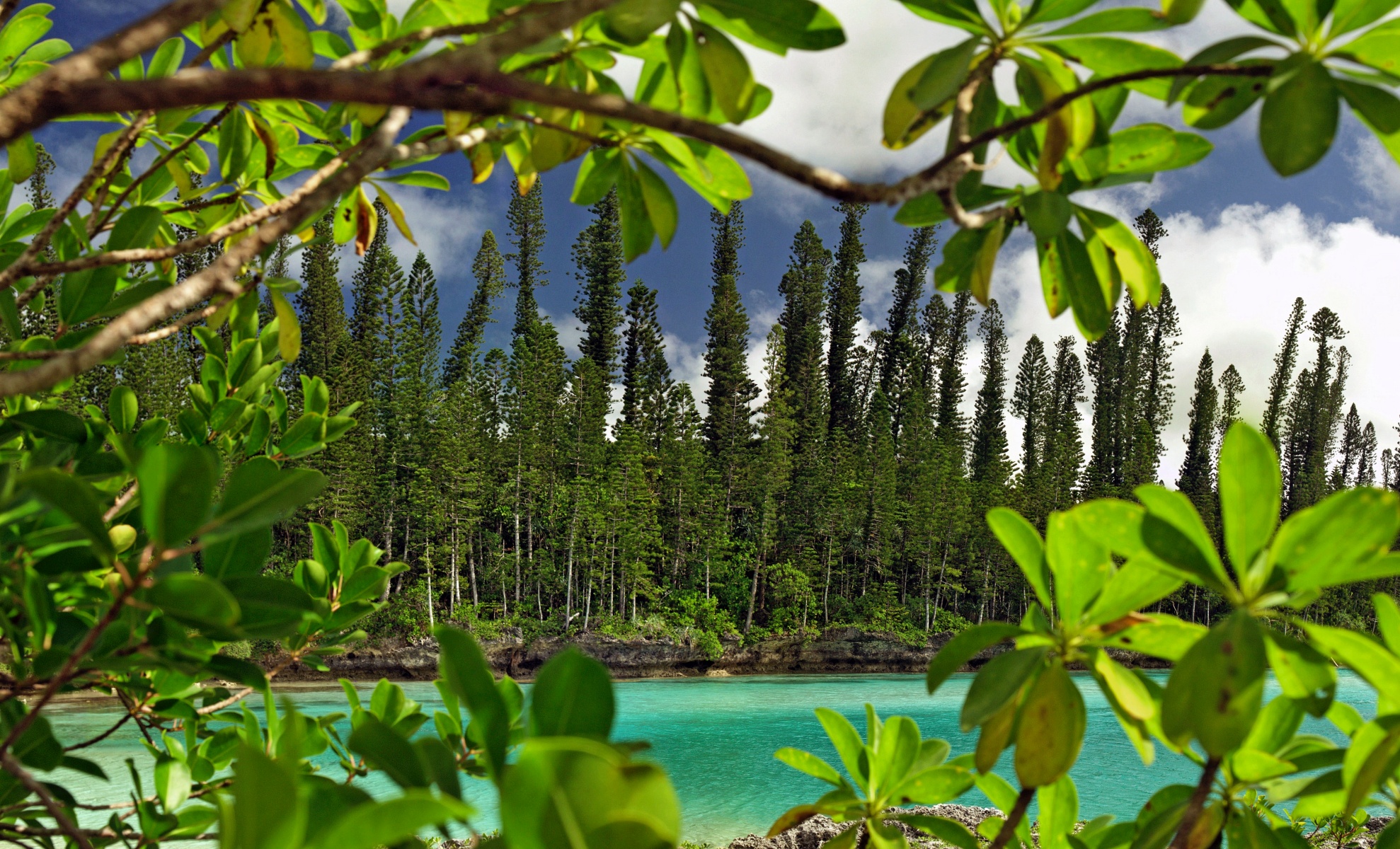 new caledonia wildlife experiences and tours