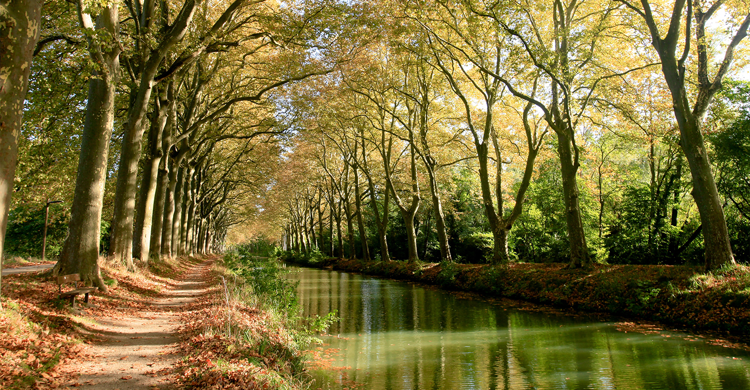 Canal du Midi