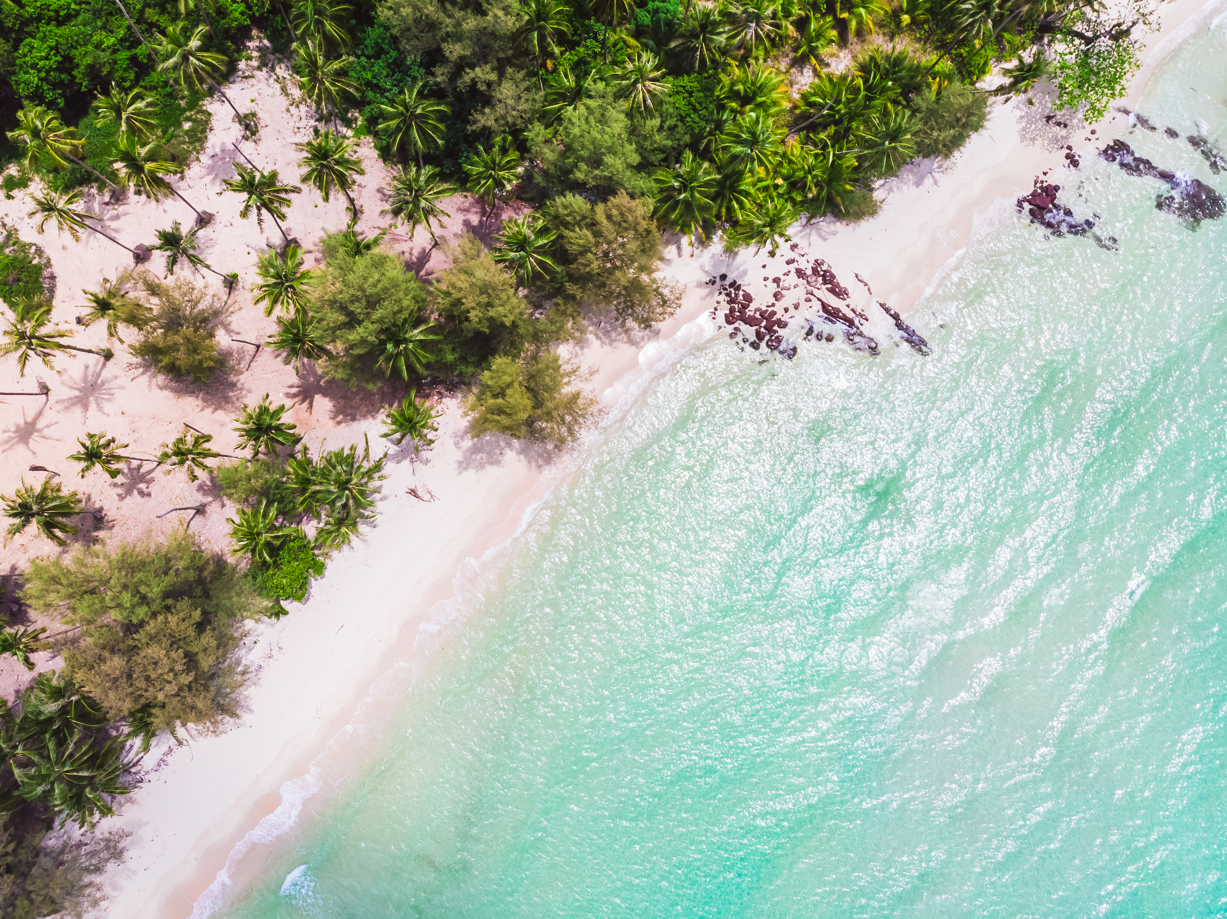 An aerial view of a pristine Cook Islands beach lined with coconut palms