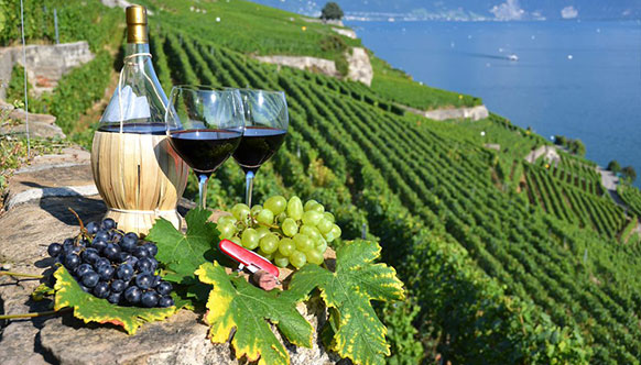 Food & Wine