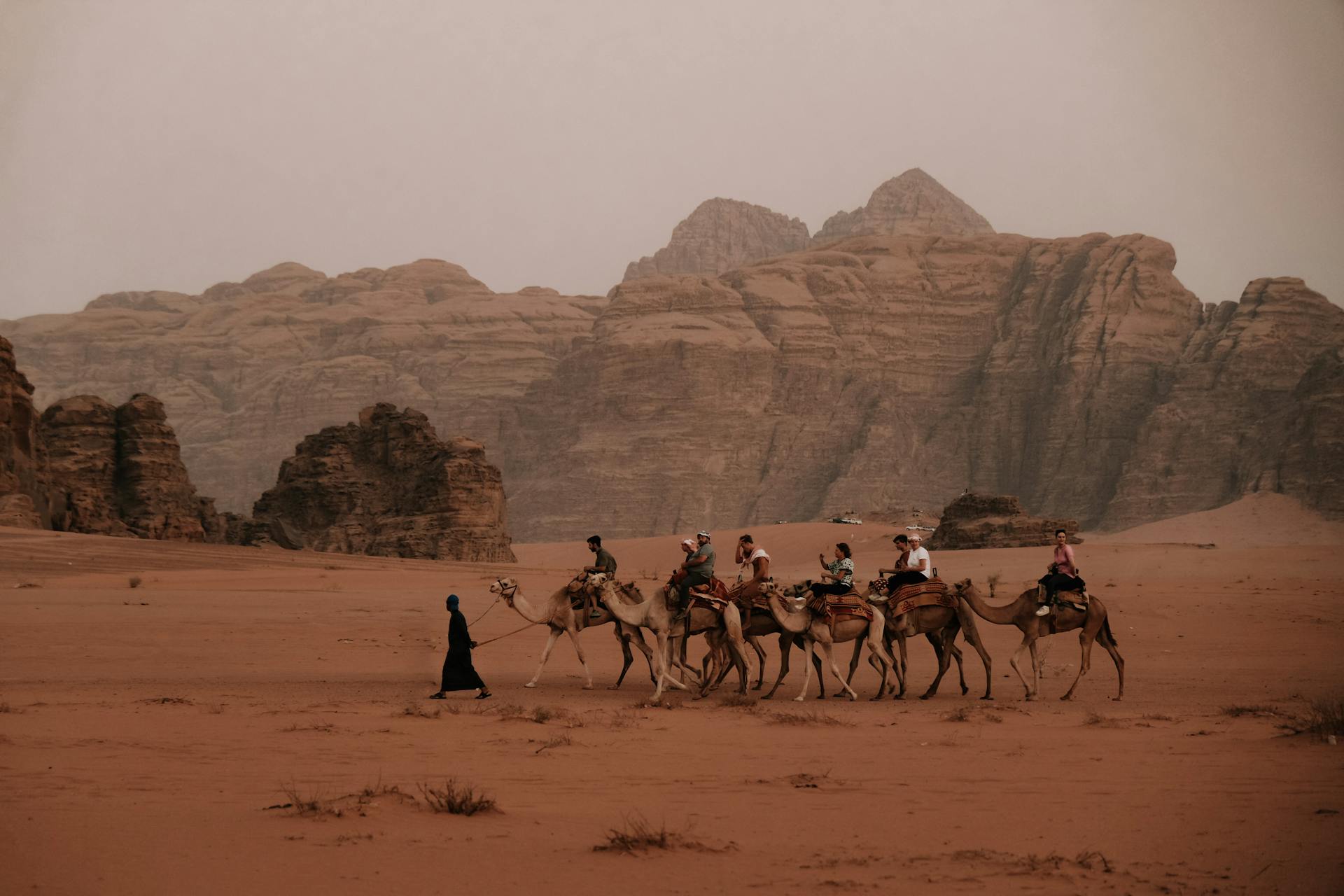People riding on the backs of camels while exploring the desert landscapes of the famous Wadi Rum in Jordan.